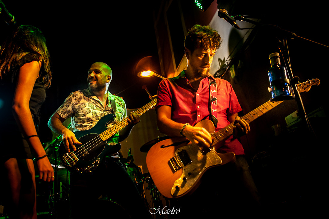 landcoconut2019-300781-049- madro