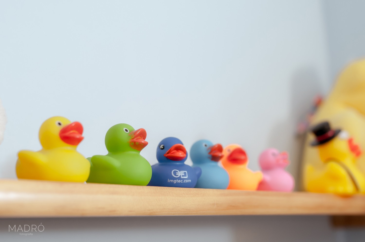 casaments-0126-294151-foto-madro