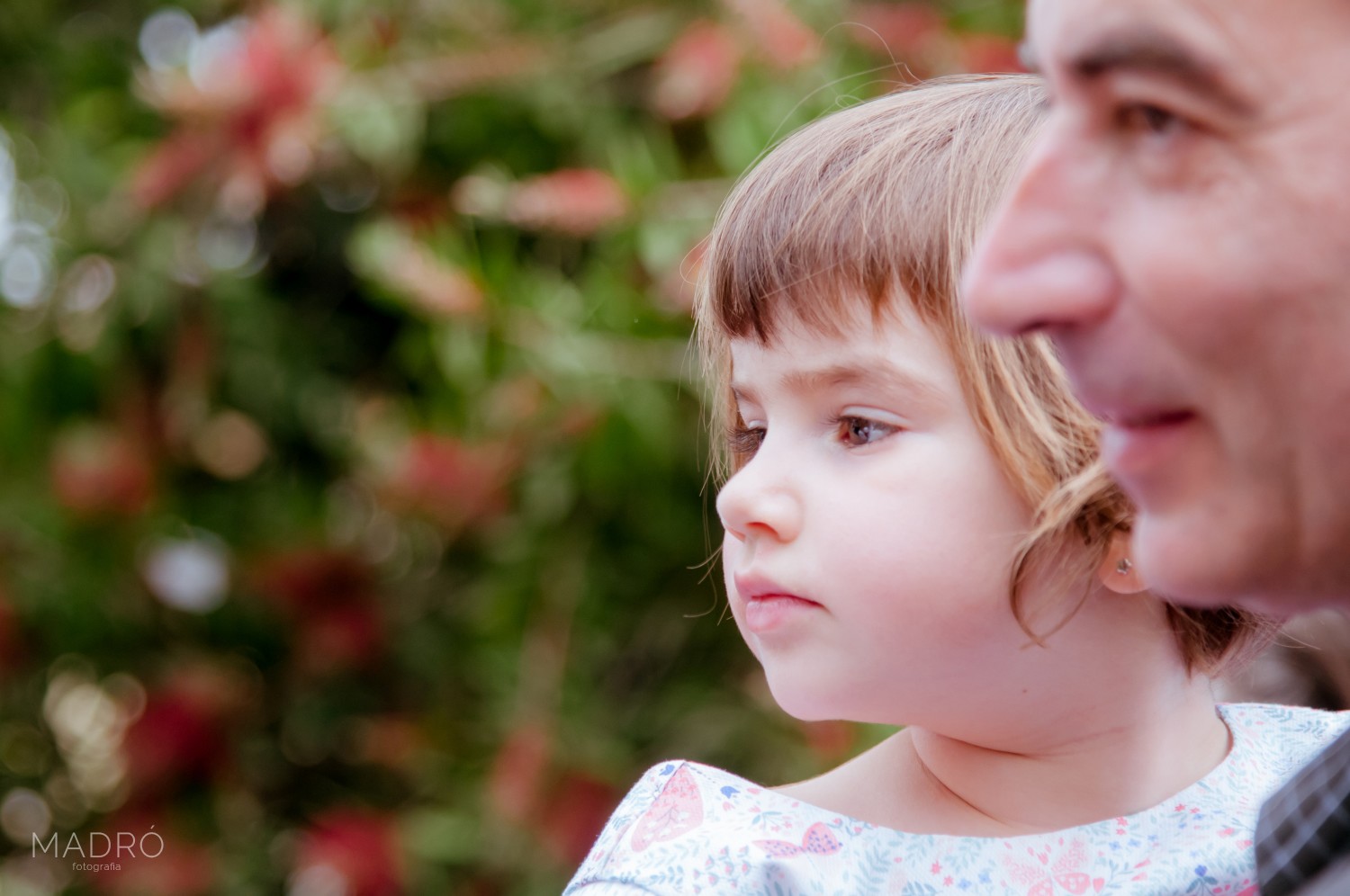 casaments-0257-294322-foto-madro