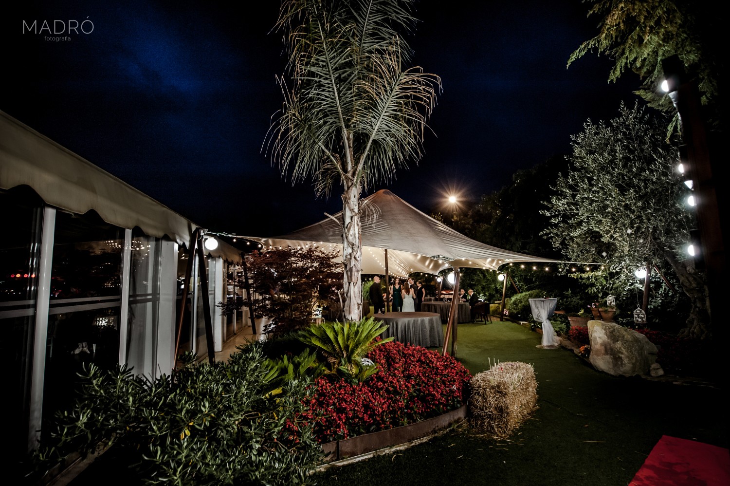 casaments-1169-295725-foto-madro