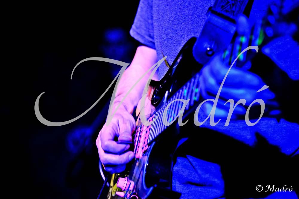 foto-madro-202084-rocksto-