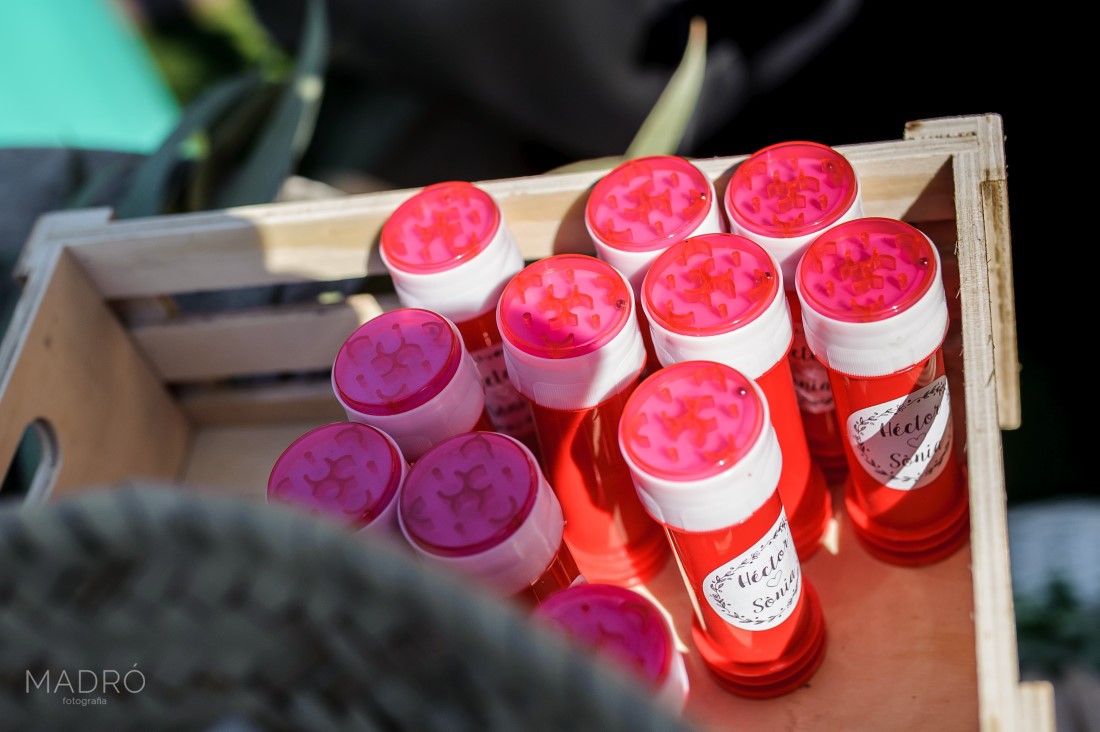 casaments-045-276235-foto-madro