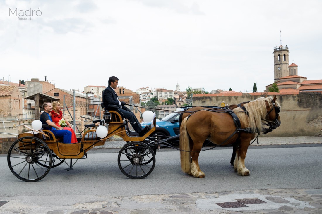 casaments-003-276159-foto-madro